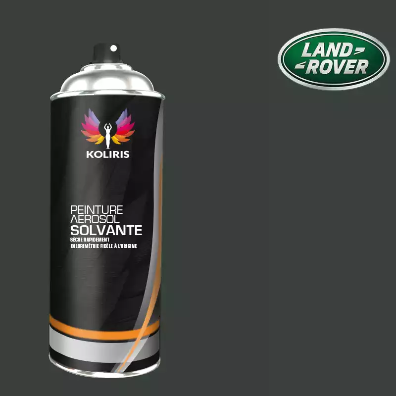 Bombe de peinture voiture solvant Landrover 400ml