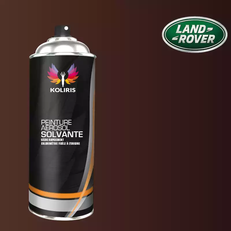 Bombe de peinture voiture solvant Landrover 400ml