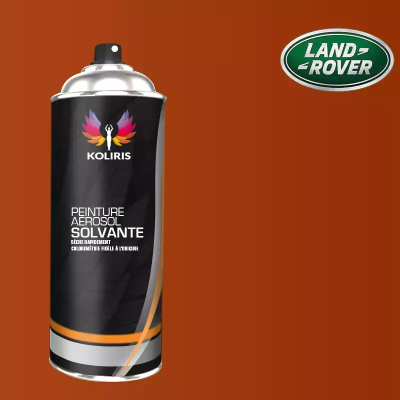 Bombe de peinture voiture solvant Landrover 400ml