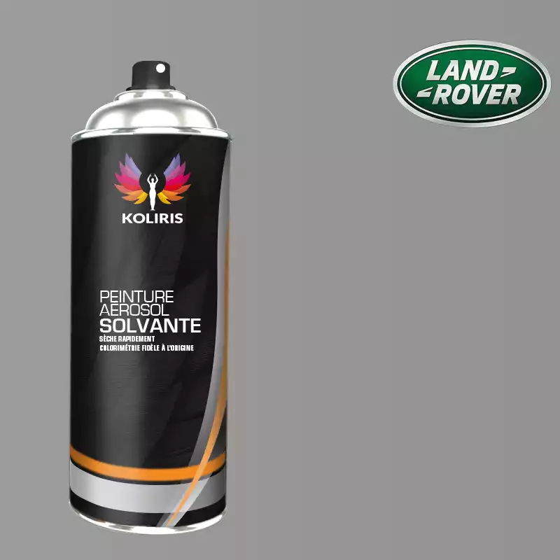 Bombe de peinture voiture solvant Landrover 400ml