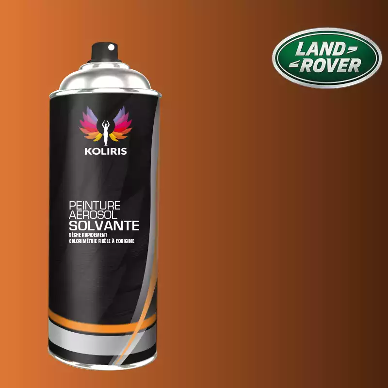 Bombe de peinture voiture solvant Landrover 400ml