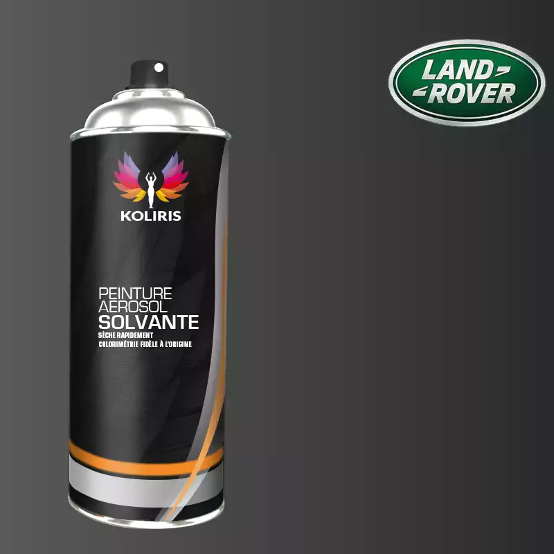 Bombe de peinture voiture solvant Landrover 400ml