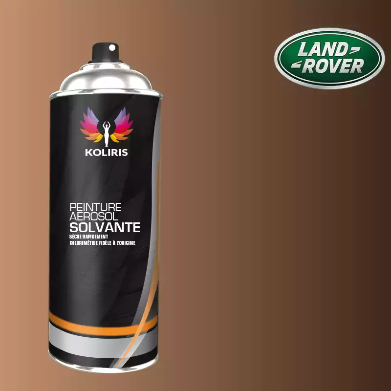 Bombe de peinture voiture solvant Landrover 400ml