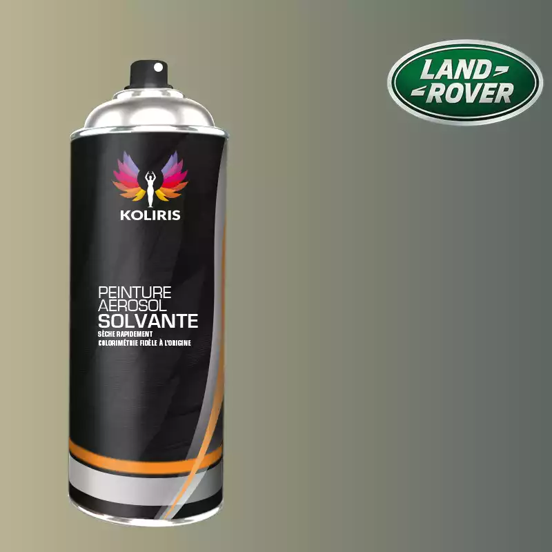 Bombe de peinture voiture solvant Landrover 400ml