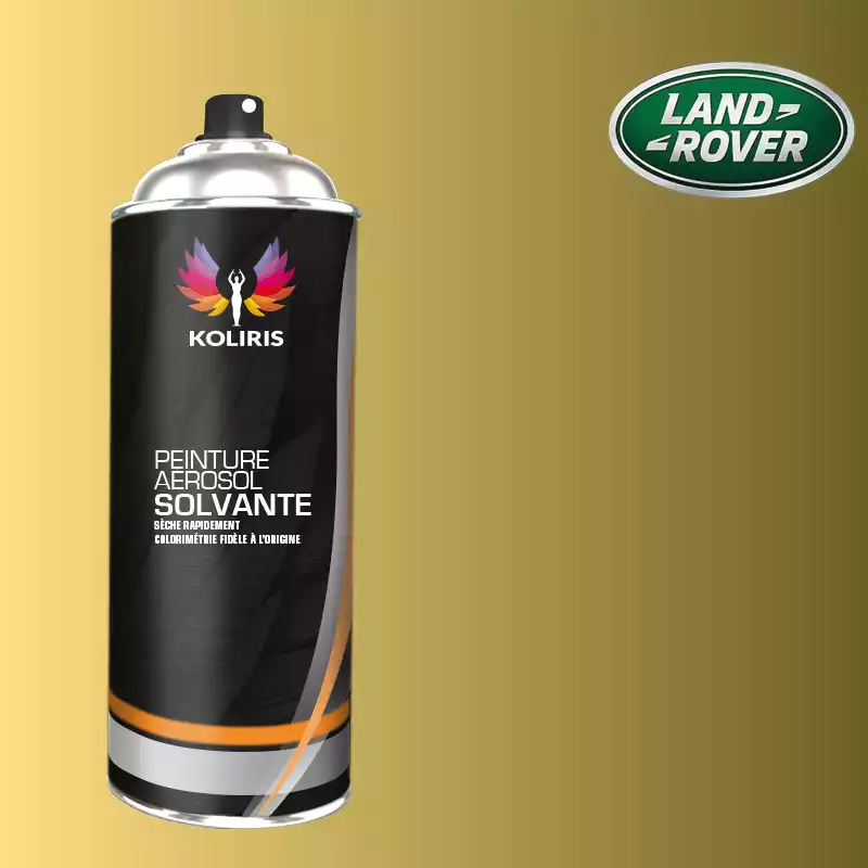 Bombe de peinture voiture solvant Landrover 400ml