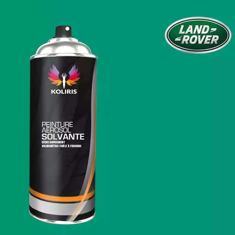 Bombe de peinture voiture solvant Landrover 400ml