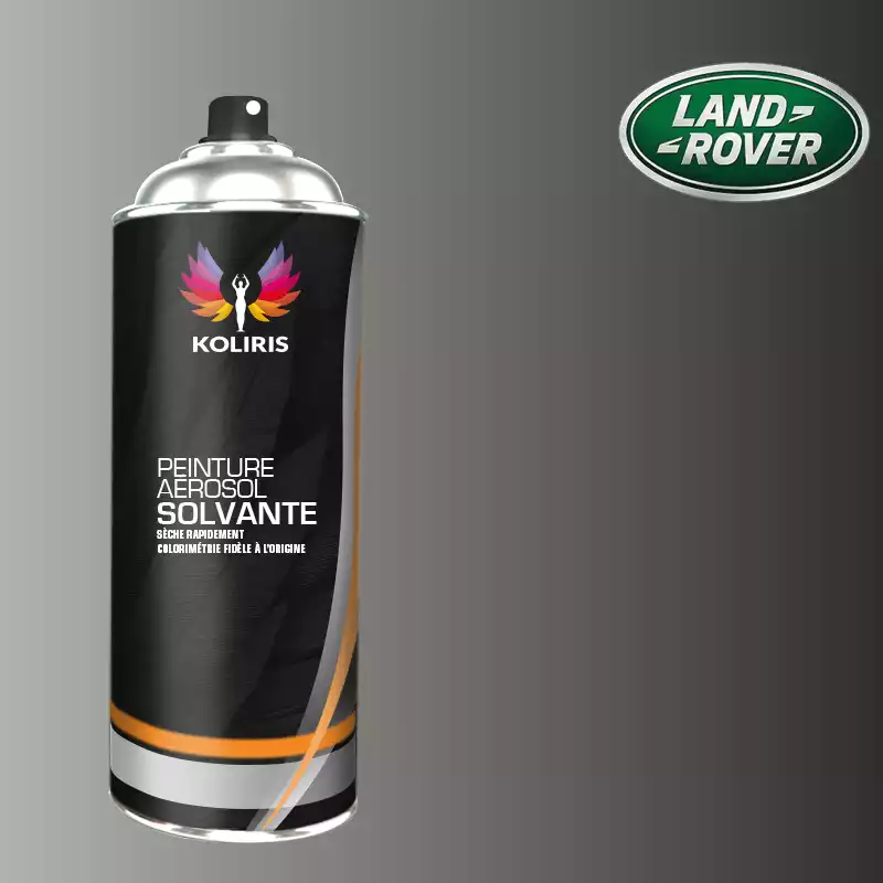 Bombe de peinture voiture solvant Landrover 400ml