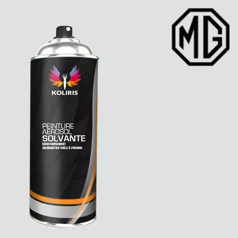 Bombe de peinture voiture solvant Mg 400ml