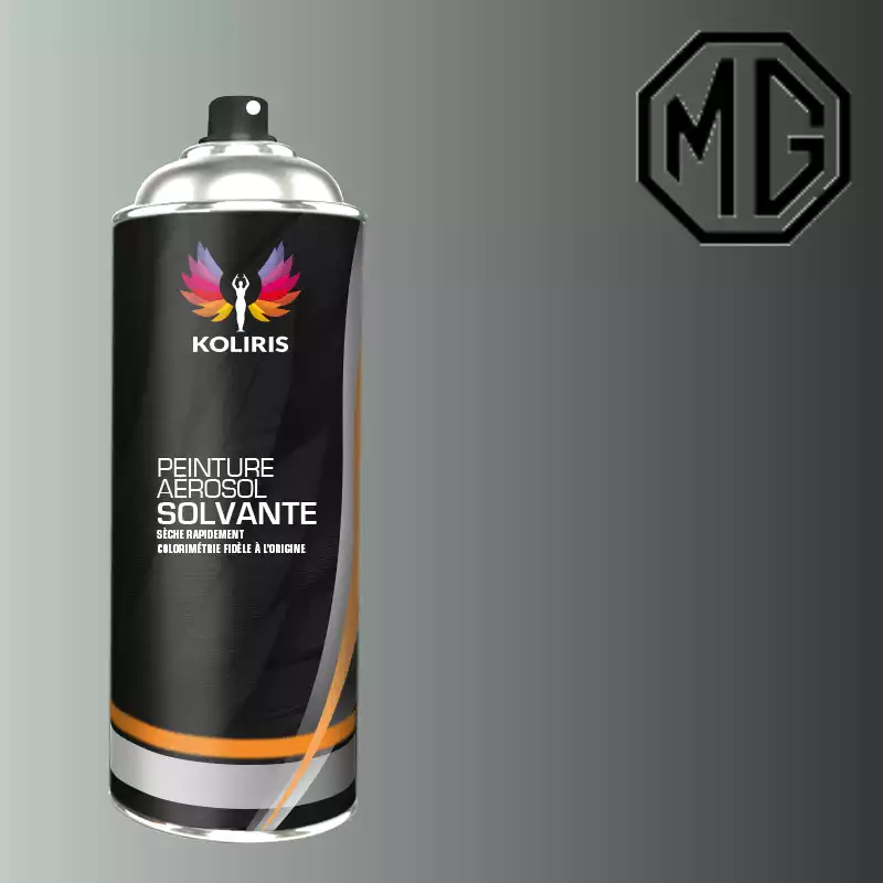 Bombe de peinture voiture solvant Mg 400ml