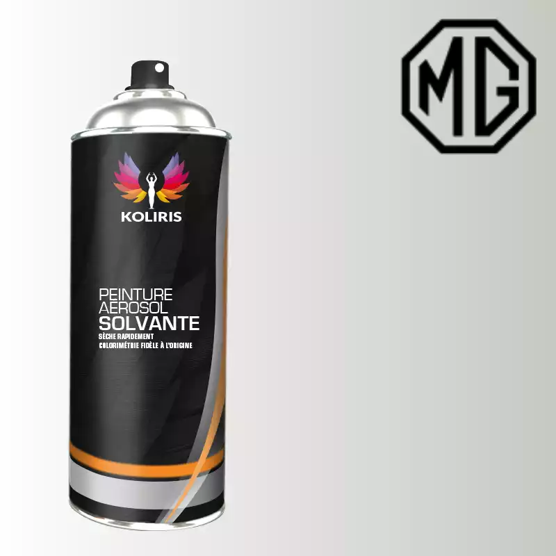 Bombe de peinture voiture solvant Mg 400ml