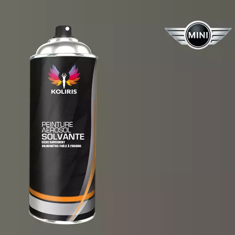 Bombe de peinture voiture solvant Mini 400ml