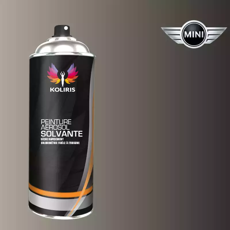 Bombe de peinture voiture solvant Mini 400ml