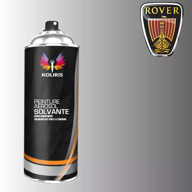 Bombe de peinture voiture solvant Rover 400ml