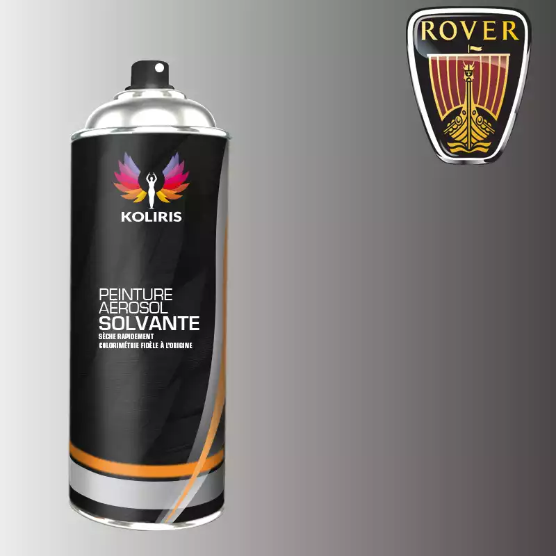 Bombe de peinture voiture solvant Rover 400ml