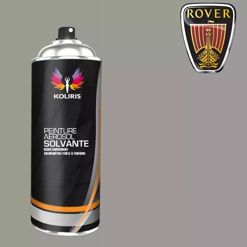 Bombe de peinture voiture solvant Rover 400ml