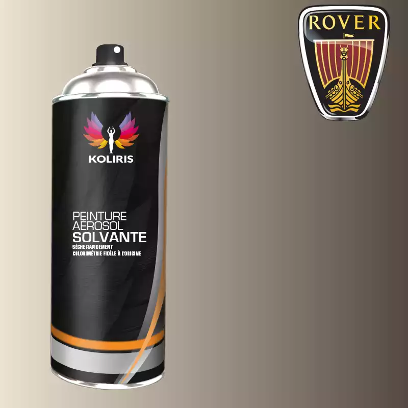 Bombe de peinture voiture solvant Rover 400ml