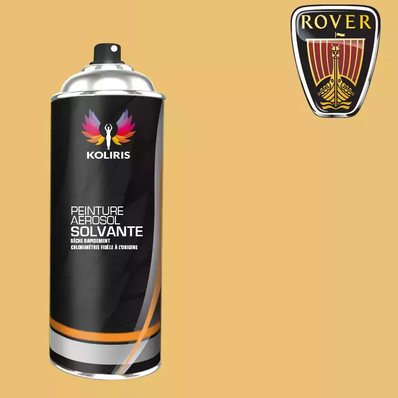 Bombe de peinture voiture solvant Rover 400ml