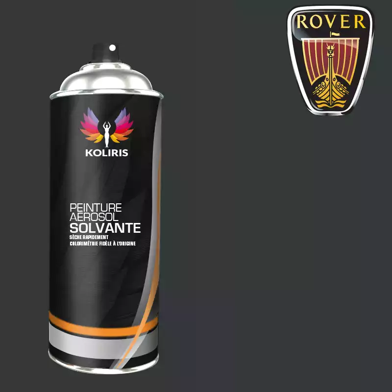 Bombe de peinture voiture solvant Rover 400ml