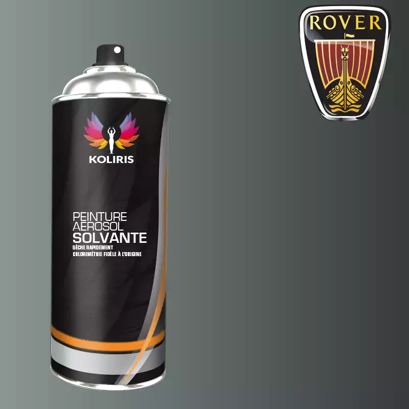 Bombe de peinture voiture solvant Rover 400ml