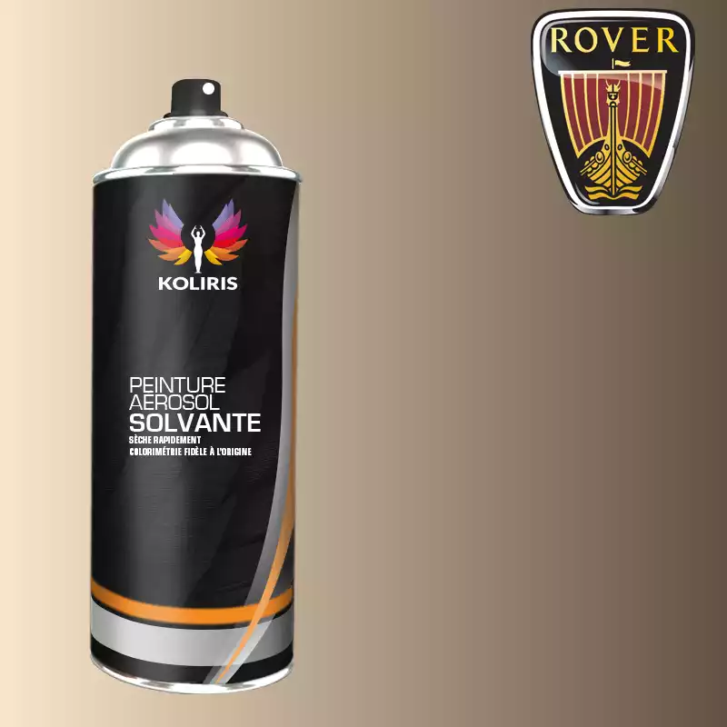 Bombe de peinture voiture solvant Rover 400ml