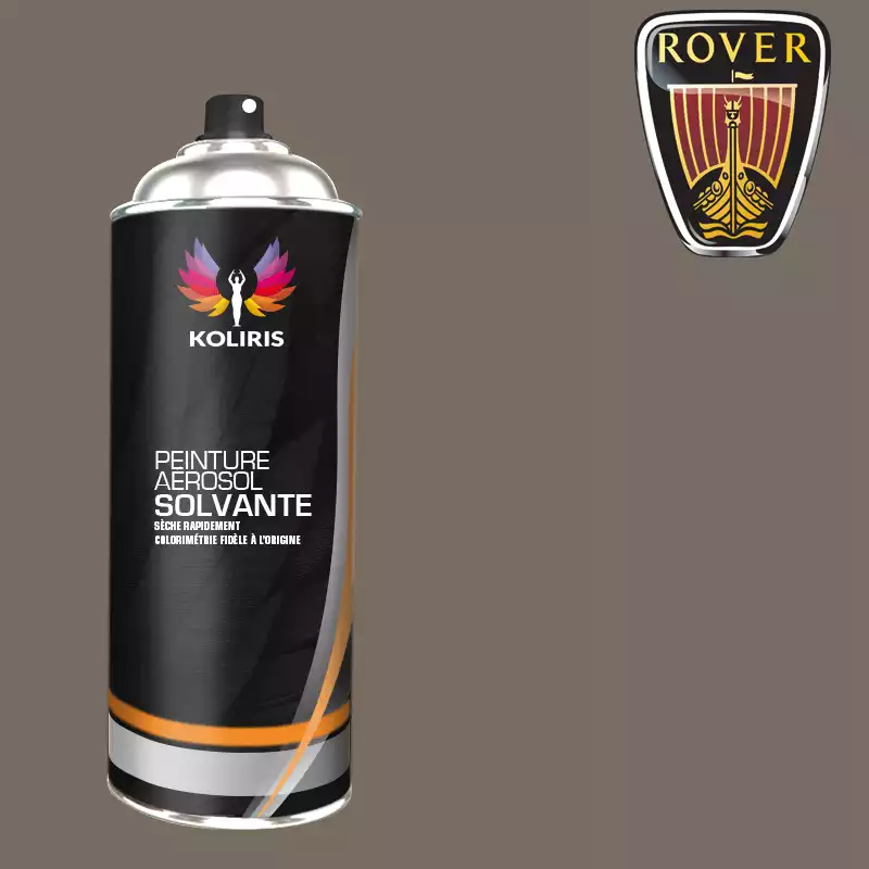 Bombe de peinture voiture solvant Rover 400ml