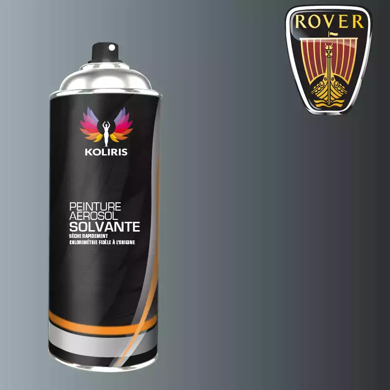 Bombe de peinture voiture solvant Rover 400ml