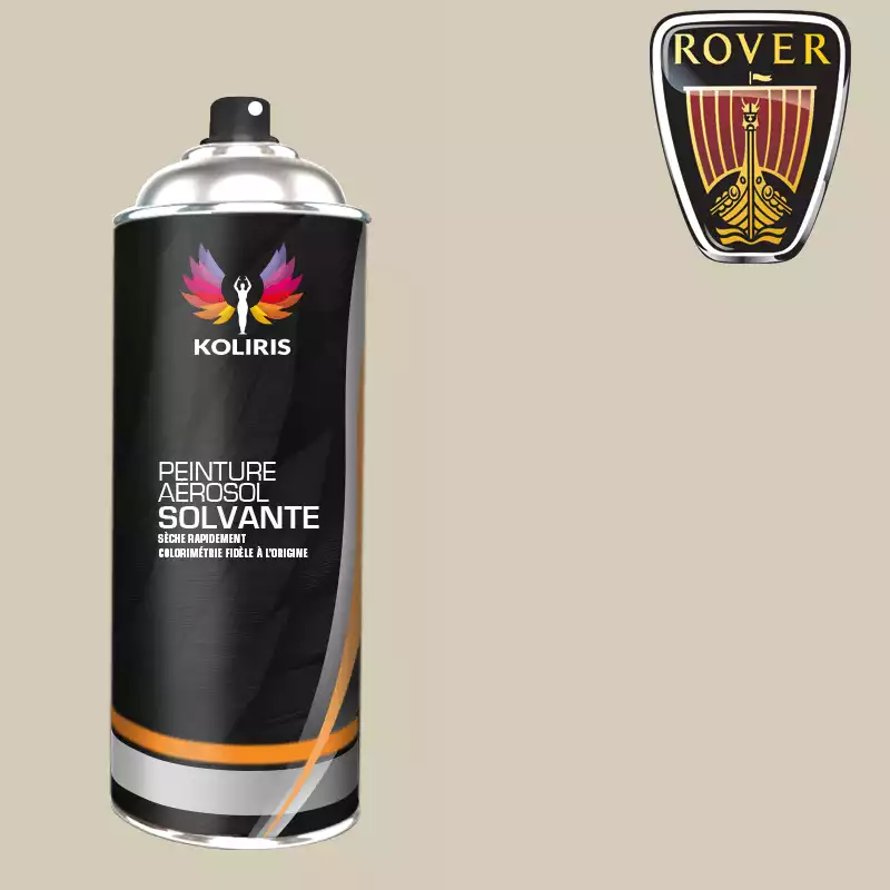 Bombe de peinture voiture solvant Rover 400ml