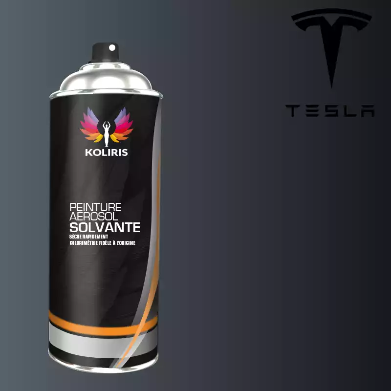 Peinture de retouche Tesla, Trouvez la couleur de retouche pour Tesla