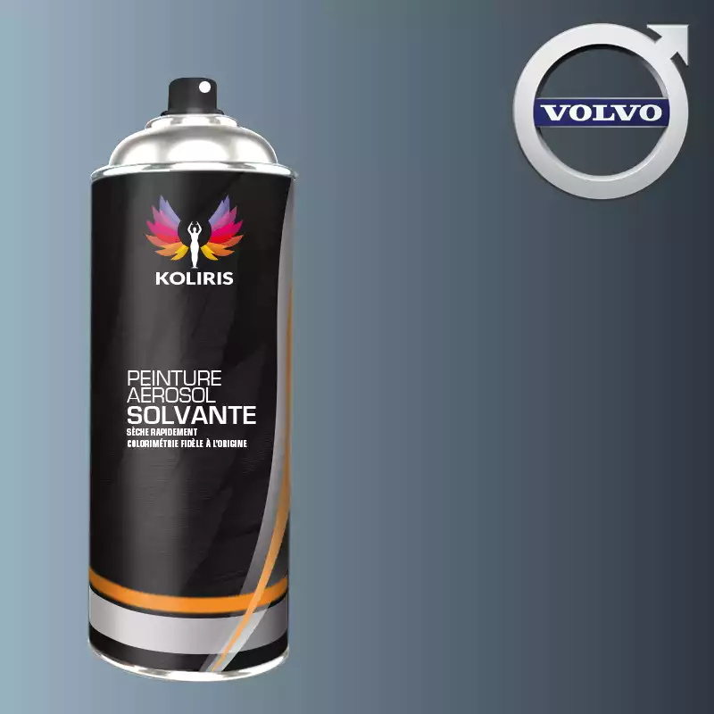 Stylo retouche peinture voiture Volvo 20ml