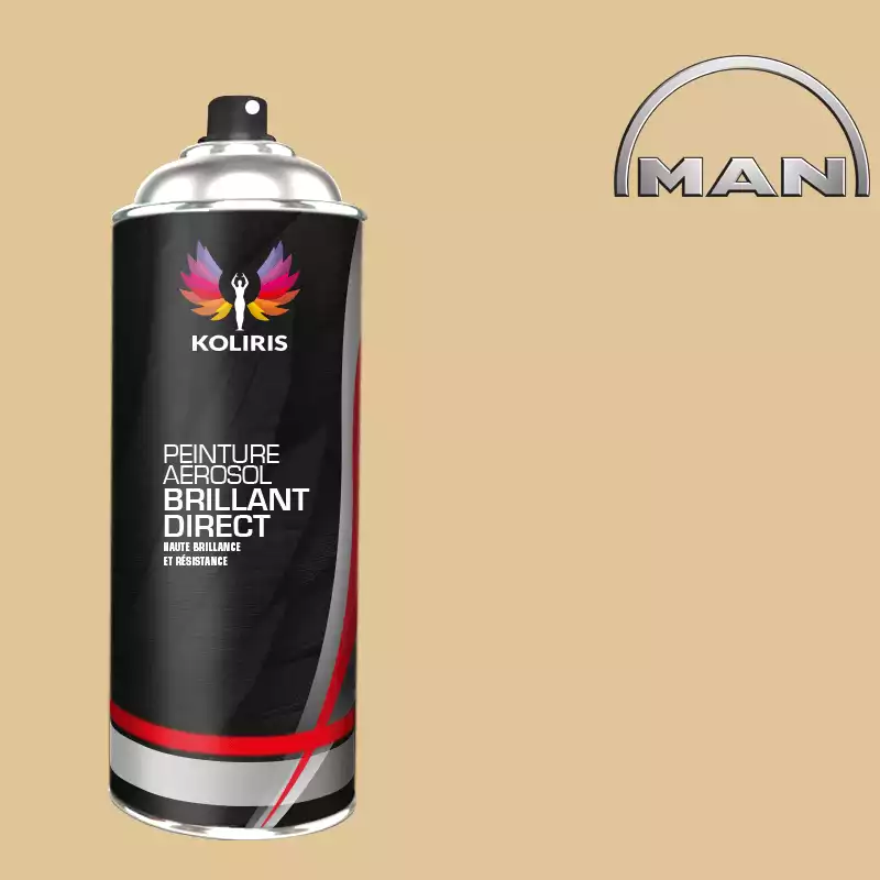 Bombe de peinture utilitaire 1K brillant Man 400ml