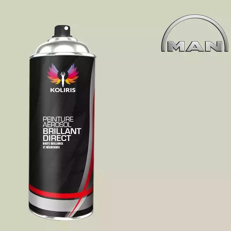 Bombe de peinture utilitaire 1K brillant Man 400ml