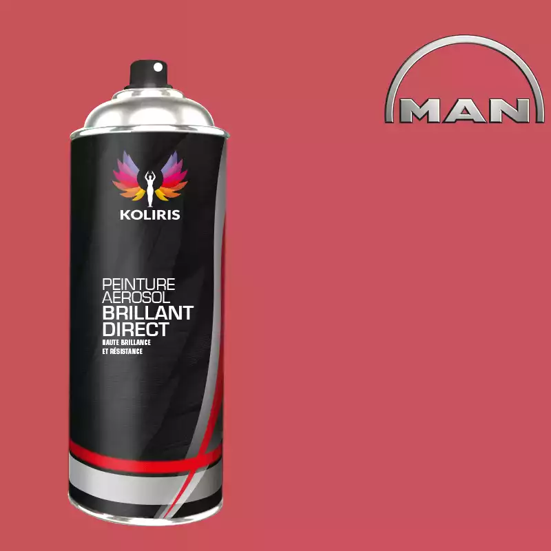 Bombe de peinture utilitaire 1K brillant Man 400ml