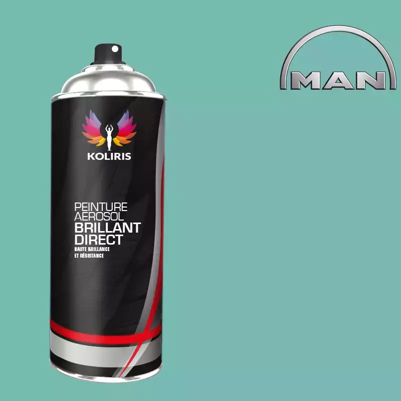 Bombe de peinture utilitaire 1K brillant Man 400ml