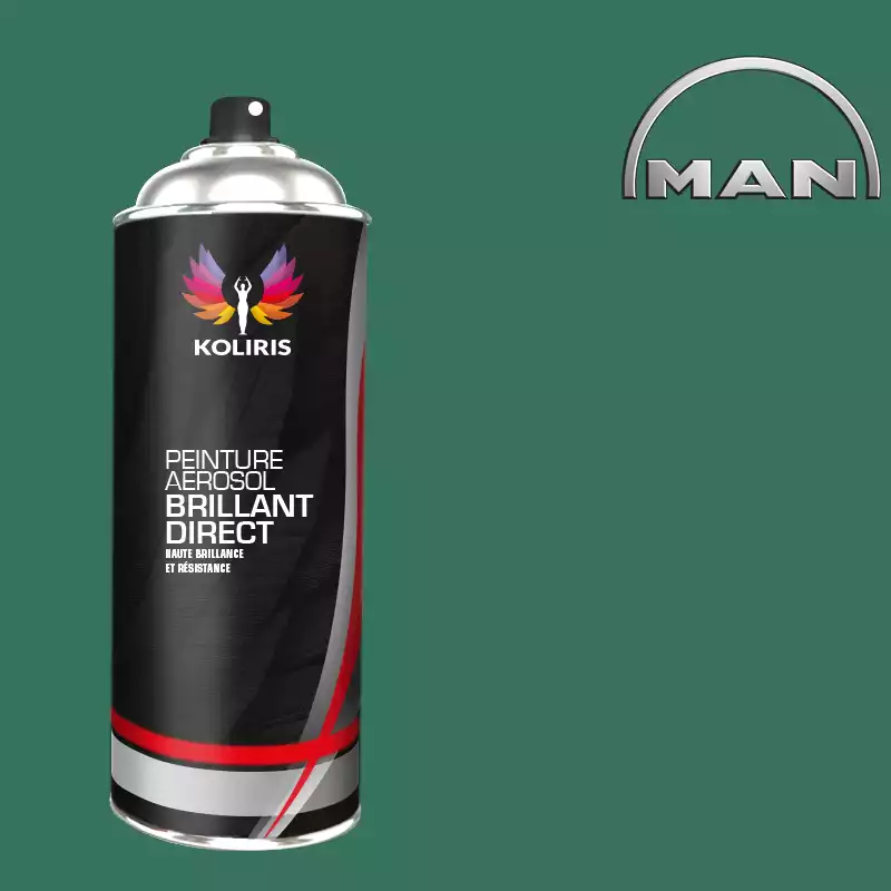 Bombe de peinture utilitaire 1K brillant Man 400ml