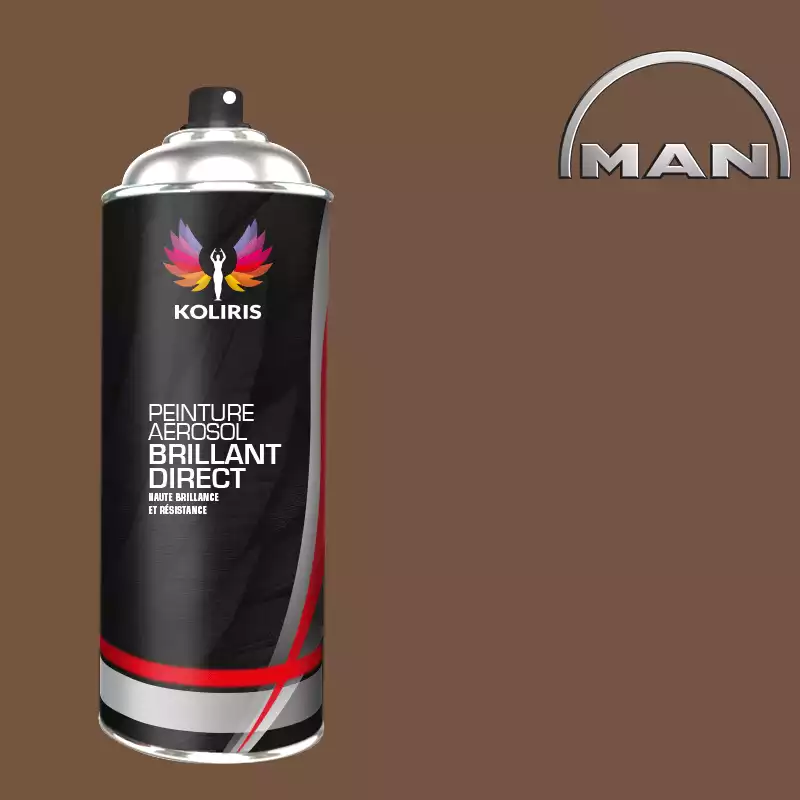 Bombe de peinture utilitaire 1K brillant Man 400ml