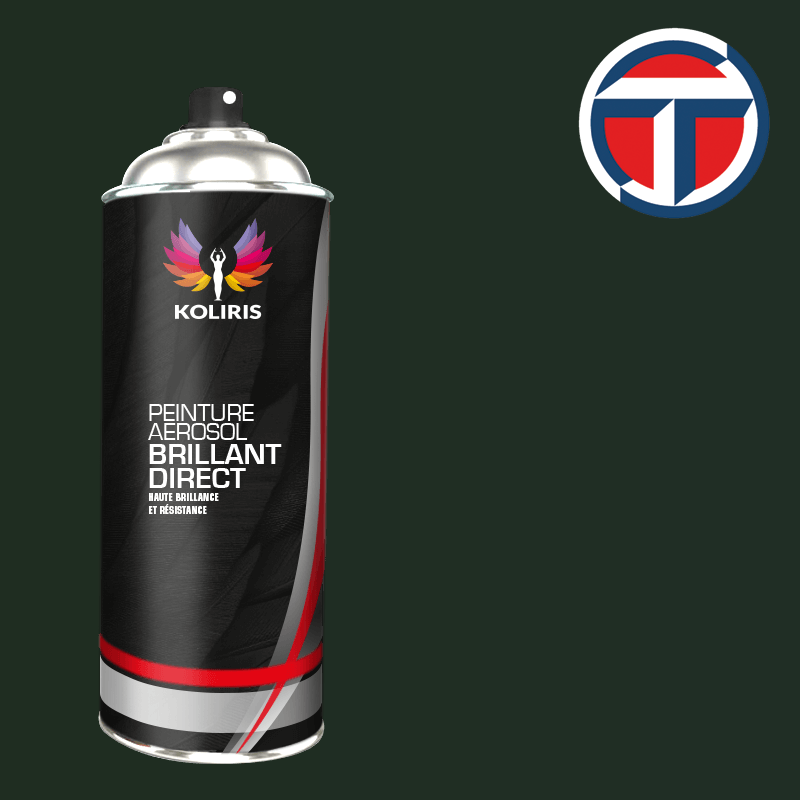 Bombe de peinture utilitaire 1K brillant Talbot 400ml