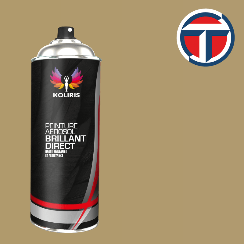 Bombe de peinture utilitaire 1K brillant Talbot 400ml