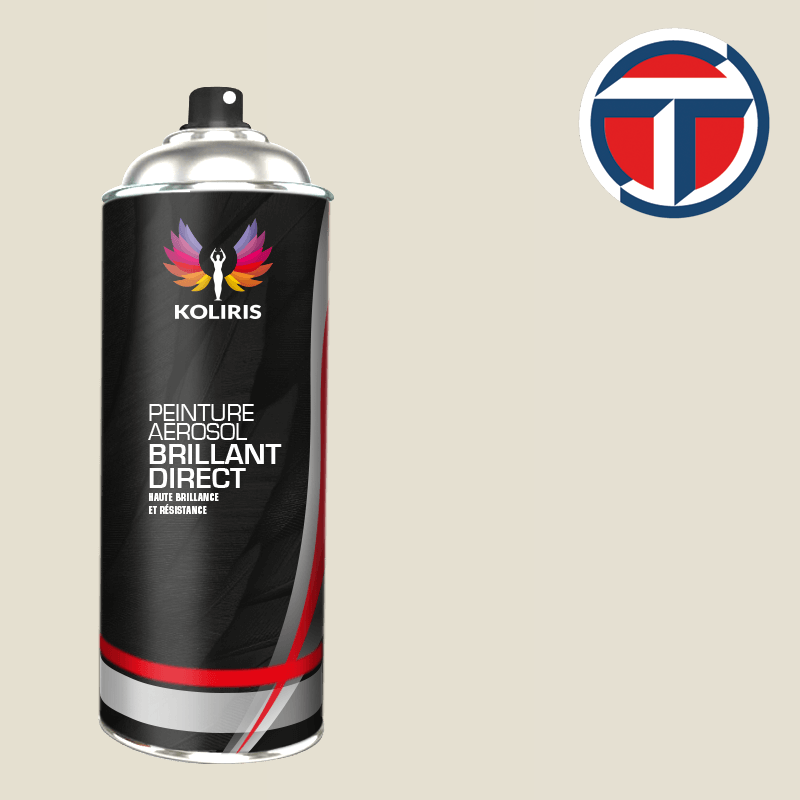 Bombe de peinture utilitaire 1K brillant Talbot 400ml