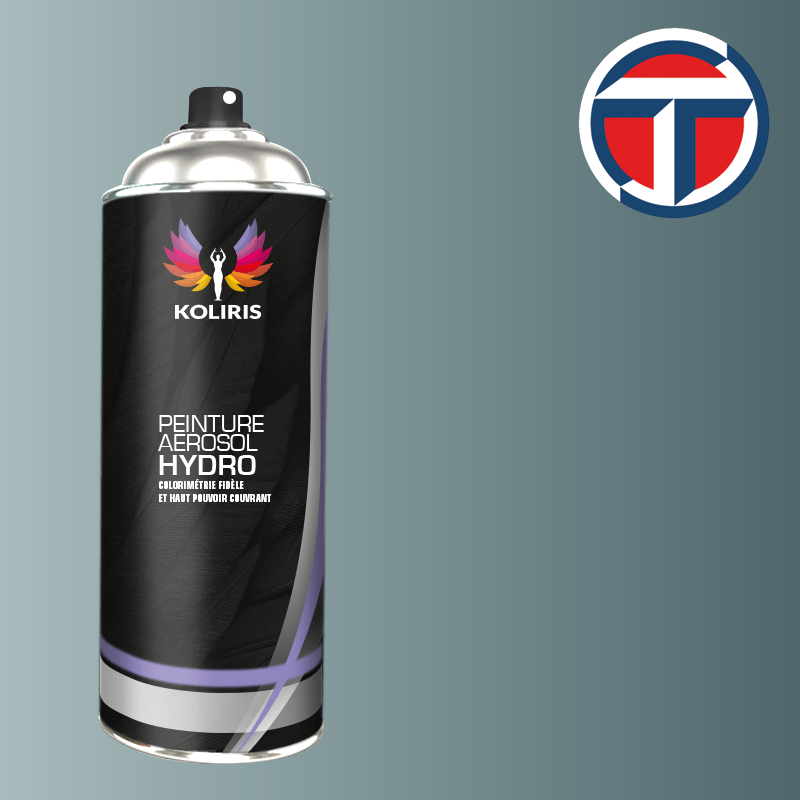 Bombe de peinture utilitaire hydro Talbot 400ml