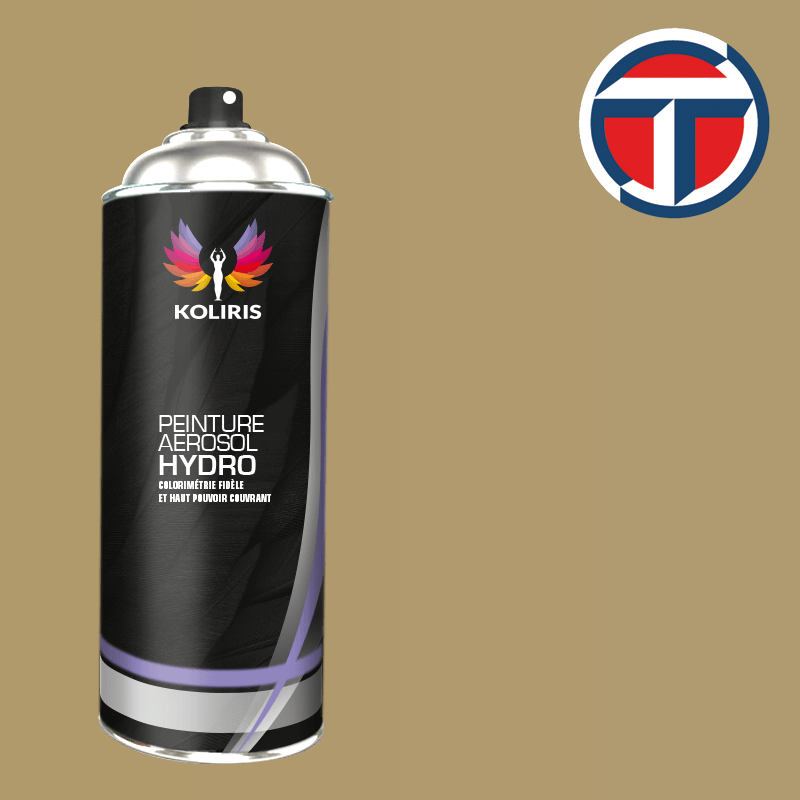 Bombe de peinture utilitaire hydro Talbot 400ml