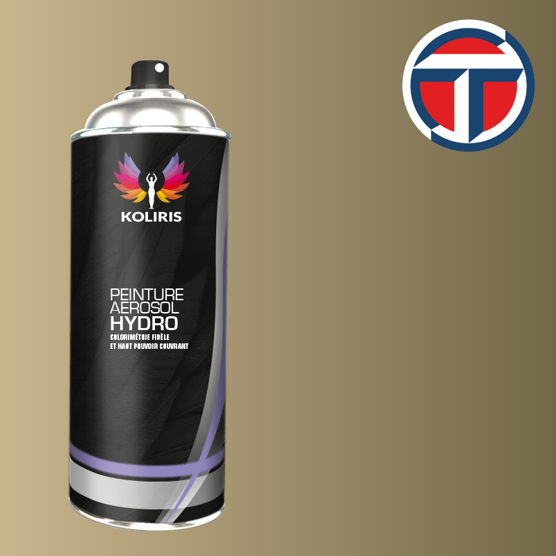 Bombe de peinture utilitaire hydro Talbot 400ml