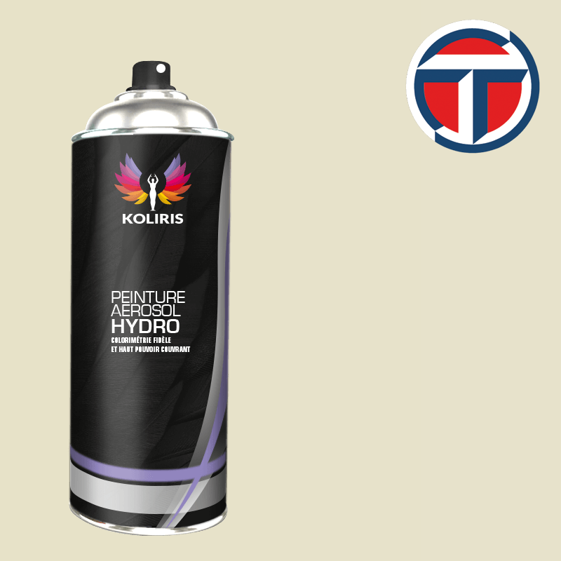 Bombe de peinture utilitaire hydro Talbot 400ml