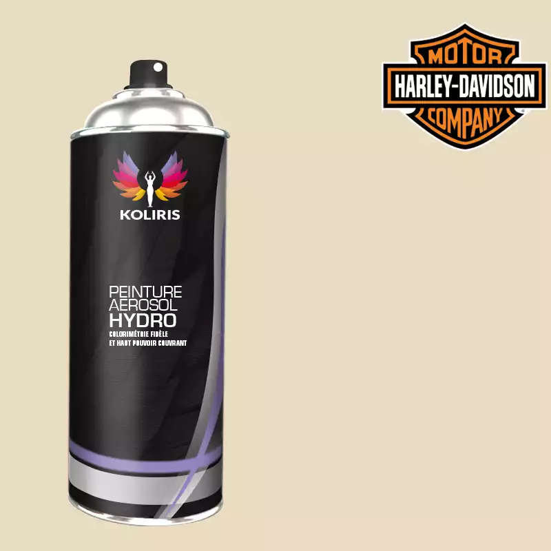 Bombe de peinture moto hydro Harley Davidson Moto 400ml