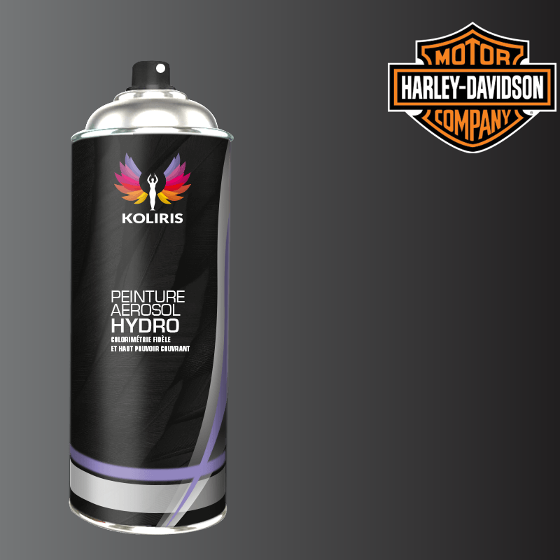 Bombe de peinture moto hydro Harley Davidson Moto 400ml