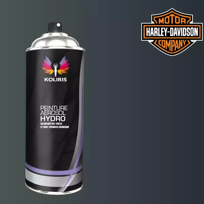 Bombe de peinture moto hydro Harley Davidson Moto 400ml