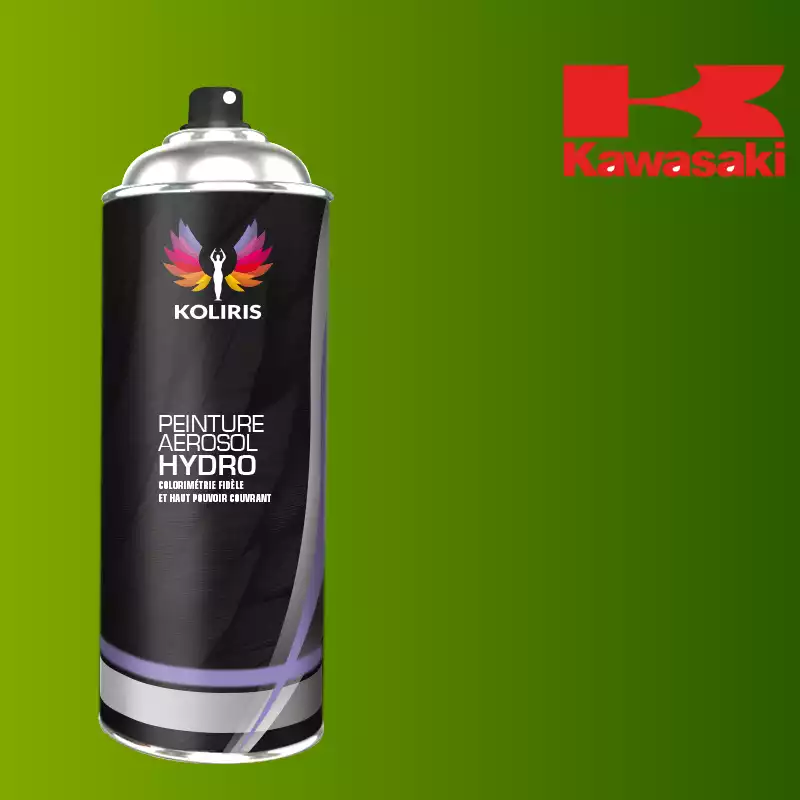 Bombe de peinture moto hydro Kawasaki Moto 400ml