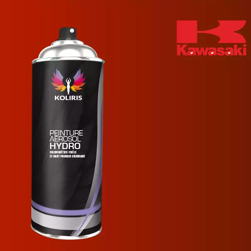 Bombe de peinture moto hydro Kawasaki Moto 400ml