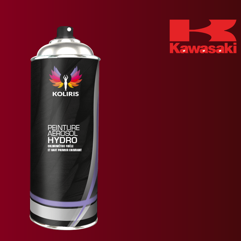 Bombe de peinture moto hydro Kawasaki Moto 400ml