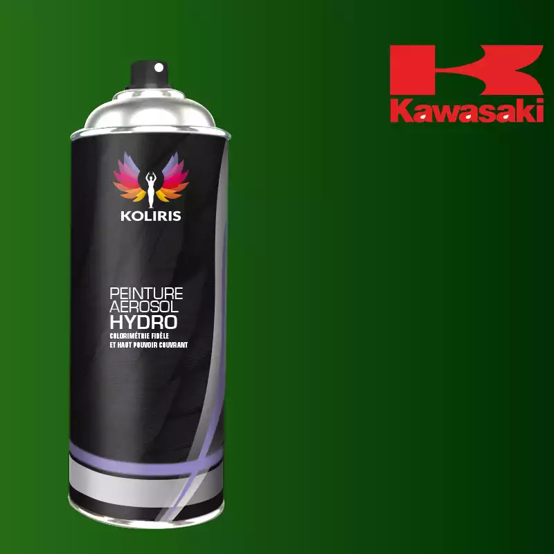 Bombe de peinture moto hydro Kawasaki Moto 400ml