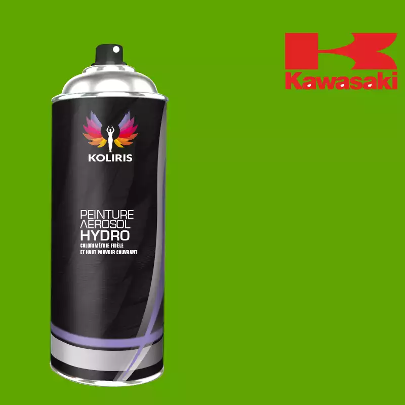 Bombe de peinture moto hydro Kawasaki Moto 400ml